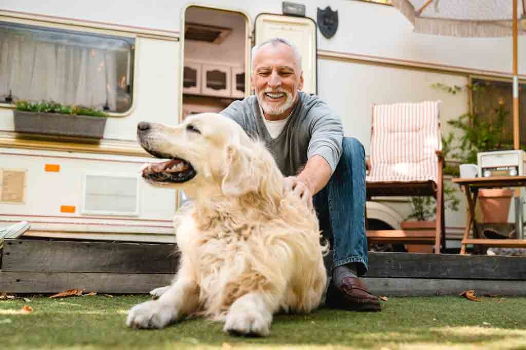 Camper e Animali Domestici: Come Viaggiare in Compagnia dei Nostri Amici a Quattro Zampe